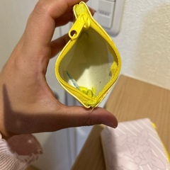 ポケモン、モルペコとレントラーの財布の画像