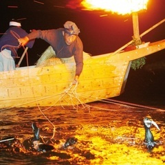 今年も長良川鵜飼も始まり鮎🐟の季節が