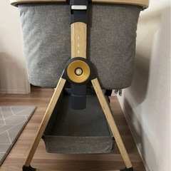 ベビーペットの画像