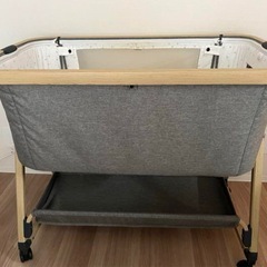 ベビーペットの画像