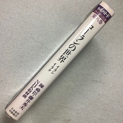 シルクロード ローマへの道 第八巻 の画像
