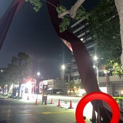 【置き配済み。ご自由にどうぞ】フィットネスウェアXS〜Sサイズ相当の画像