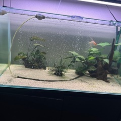90cm水槽