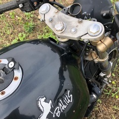 カワサキ　バリオス　書類付レストアベース車の画像