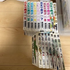 サムネイル