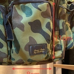 変わったリュックの画像