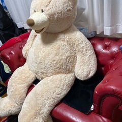 コストコのクマちゃんの画像