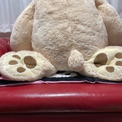 コストコのクマちゃんの画像