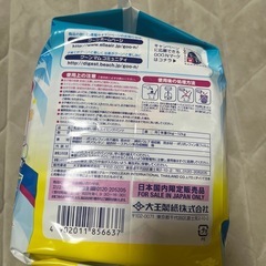 水遊び用　スイミングパンツ　オムツの画像
