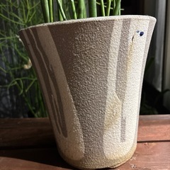 【受付終了】【20%オフ最終価格】【20%オフ　6/13】【20%オフ　6/11】【20%オフ5/28】【20%オフ　5/15】ミルクブッシュ　鉢付き　鉢割れあり　高さ約50センチ　観葉植物　塊根植物　多肉植物　ビザールプランツ　レアプランツ　ガーデニング　植物　グリーン　趣味　盆栽　葉　花　庭　草　多肉植物　ユーフォルビア　レアプランツの画像