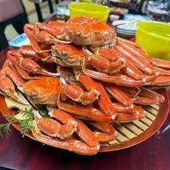 お友達探し、返事は亀レスです。 - 友達