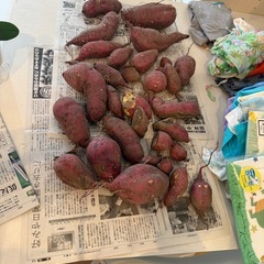 お友達探し、返事は亀レスです。 - メンバー募集