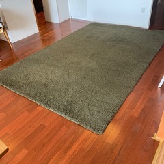 IKEA？のカーペット濃緑
