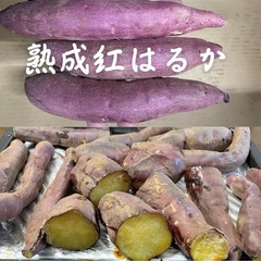 さつまいも 紅はるか 2kg