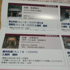 土肥金山入場券無料　5名まで