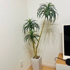 人工観葉植物
