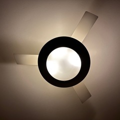 パナソニック　シーリングファン
の画像