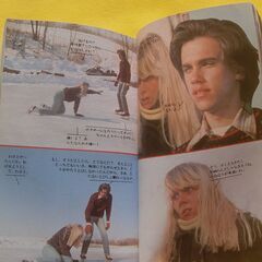 映画  シネ・コミックス『アイス・キャッスル 』リン＝ホリー・ジョンソンの画像