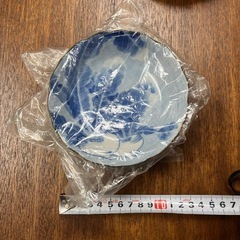 お皿13枚