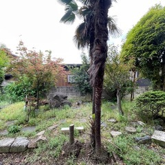 庭木、庭石欲しい方いませんか？