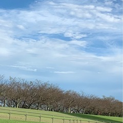 子供とボール遊び