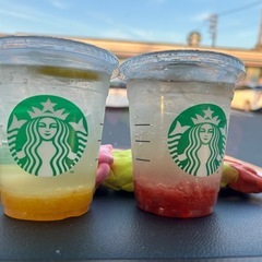 小学生の宿題、リコーダー、お習字など学校の学習教えます。