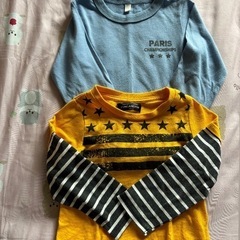 2枚セット(100)