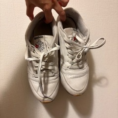 Reebok スニーカー 23.5