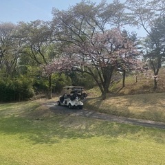女性ゴルフ仲間募集😊平日行ける方