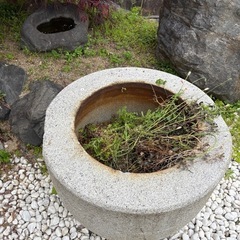 庭石　石の鉢