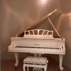 珍しい白いピアノで自由で好きな曲を♬子供〜大人まで♬