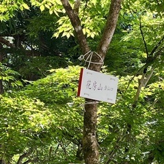 山友募集！