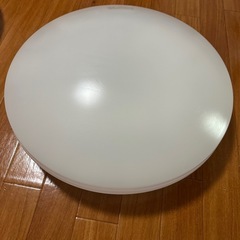 HotaluX（ホタルクス）21年  2個セットHLDZ0625...