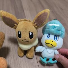 ポケットモンスター　ポケモン　ぬいぐるみ　人形の画像