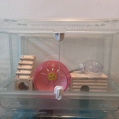 小動物　飼育キット　透明ケージ