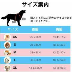 【NESTROAD】犬用 ハーネス＋リードの画像