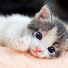 全ての人にありがとうございます🙏
