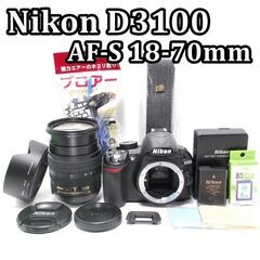 ガイドモード搭載で安心！ Nikon D3100 簡単にプロの一枚を