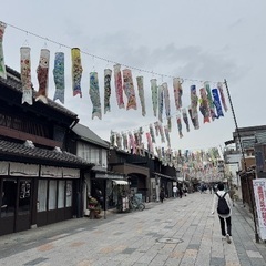 買い物、お散歩同行します。話し相手でも