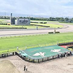 🐴グルチャ！　楽しくなりそうな新星募集。