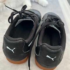 プーマトレーニングシューズの画像