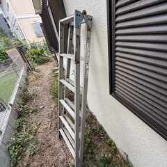 脚立の画像