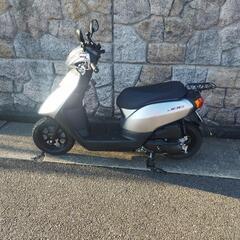原付jogほぼ新車