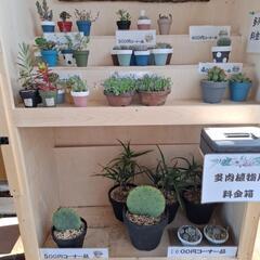 🌵多肉園ひだまり🌵(無人販売所)