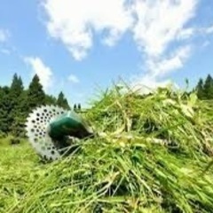 【草刈り】お庭の草刈りします！