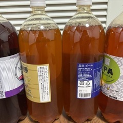 ビール　クラフトビール　Dreambeer バラ売り大歓迎の画像