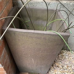 　美品大きな植木鉢