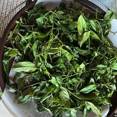 緑茶作りとプチイングリッシュガーデン5/25