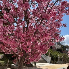 小学生の算数教えます⭐︎