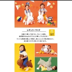 ブルーナボンボン レギュラーサイズ ミッフィーの画像